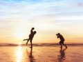 shutterstock_544190419